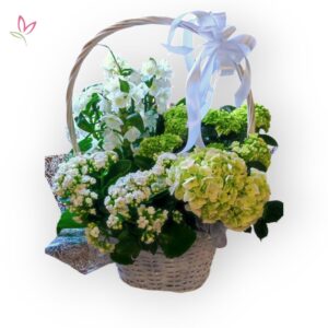 Cserepes Virág Kosár